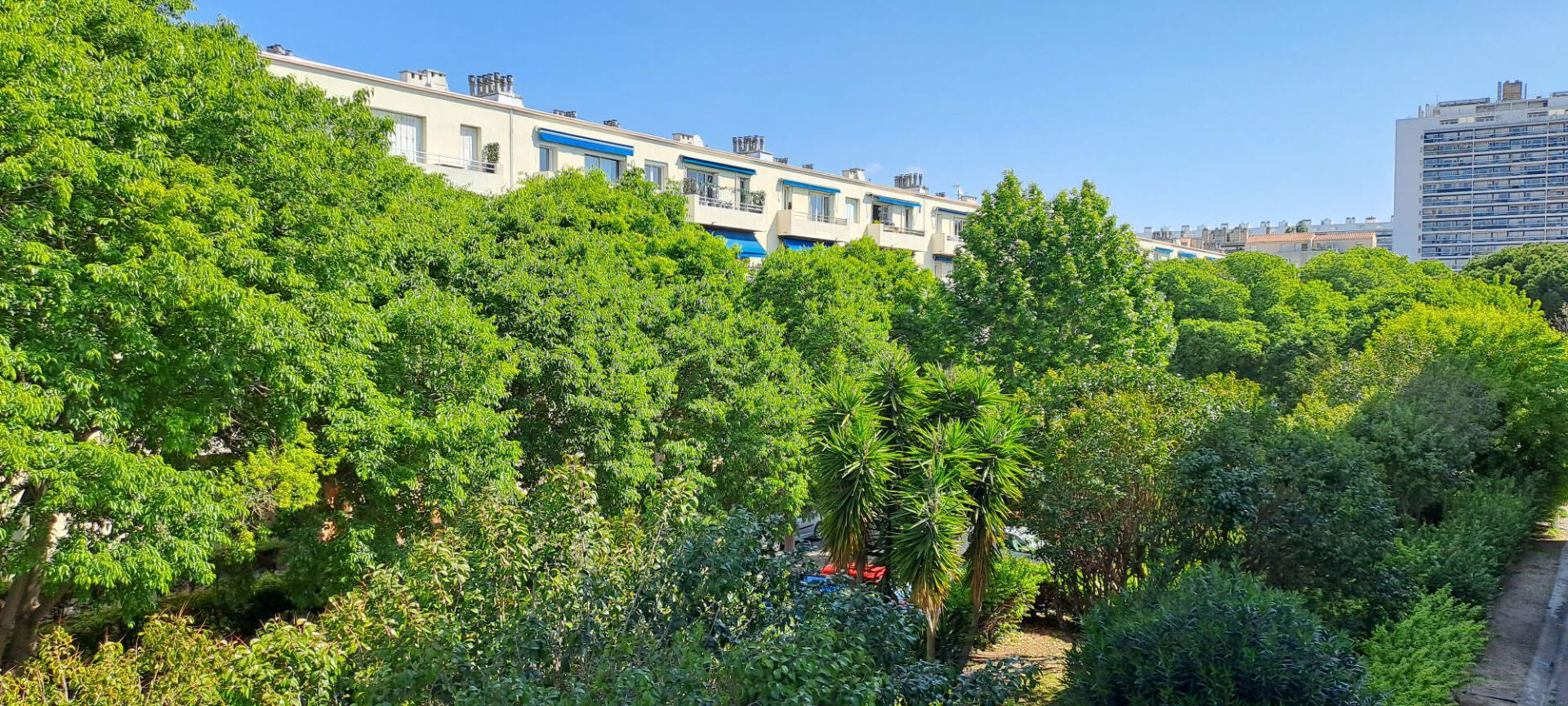 1054-13008 T4 Coeur Saint Giniez + Garage - 2