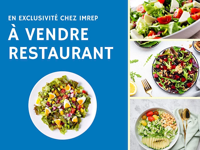 RESTAURATION RAPIDE MIDI ZONE D'ACTIVITE